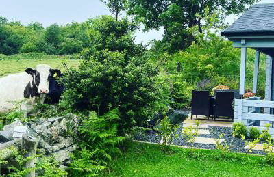 Rockschapel Cabin 30B - Photo 3