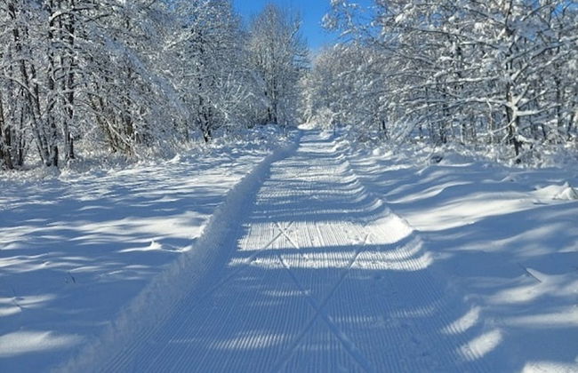 Detached House at 100m Distance of the Lake - Foto 28