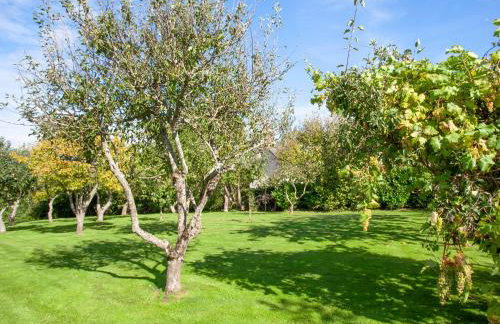 Orchard View-Uk40871 - Foto 16