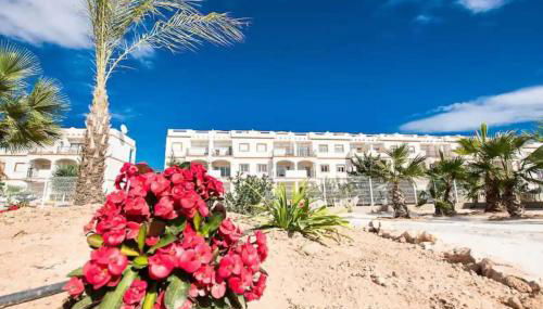 Casa Flamingo Private Residence - Foto 2, Garden