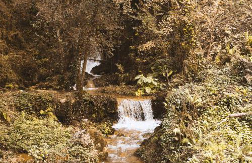 Casa da Merelhe - Foto 32