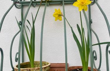 La Locanda Del Tevere - Foto 60