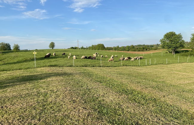 Villa Stone - Photo 59