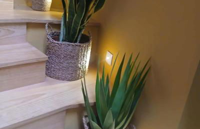 Casinha das Mimosas - Foto 11