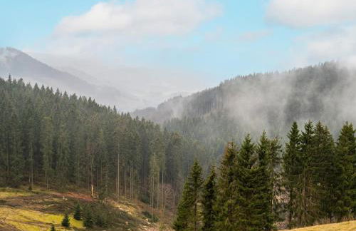 Kurhaus am Nordenau - 10 pers - Foto 66