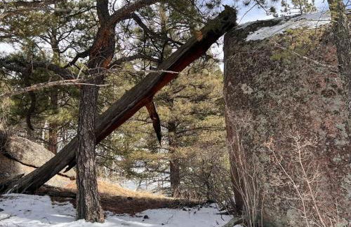 Cozy Cabin - Foto 34