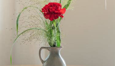 Dianthus Apartment - Foto 3
