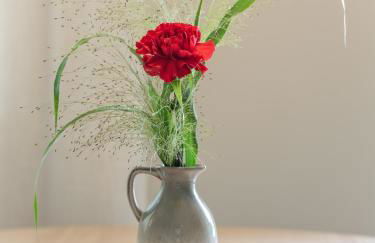 Dianthus Apartment - Photo 1