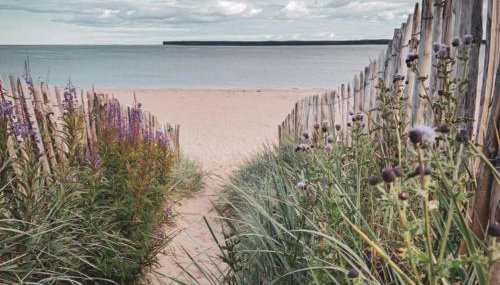 The Estuary - Foto 3