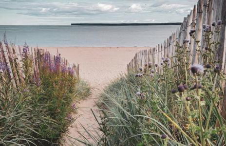 The Estuary - Foto 3