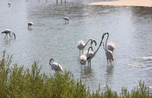 Casa Veintiuno en Calp - Photo 29