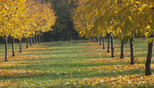 Alloggio Cantalupo - Foto 4