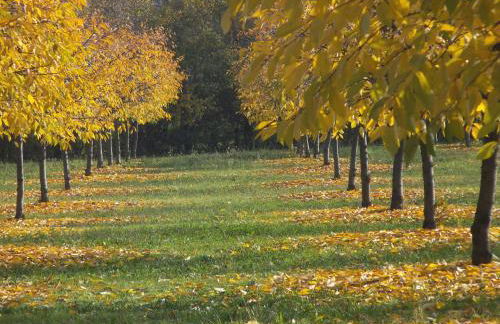 Alloggio Cantalupo - Foto 4