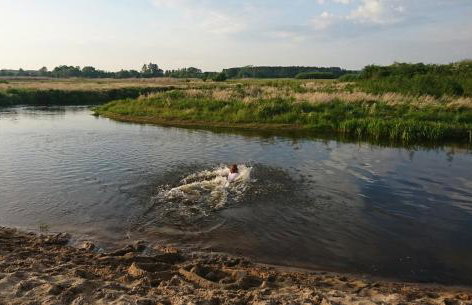 Cicho Cichuteńko - Foto 13