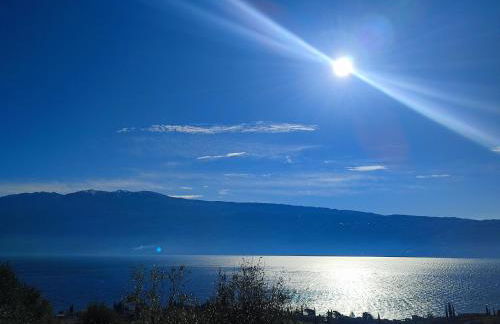 Agriturismo L'Uliveto - Foto 8