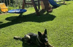 Kuća Viola, traditional wooden house in Tuhelj - Foto 30