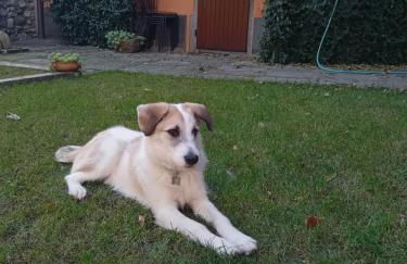 La Corte dei Rho - Foto 24