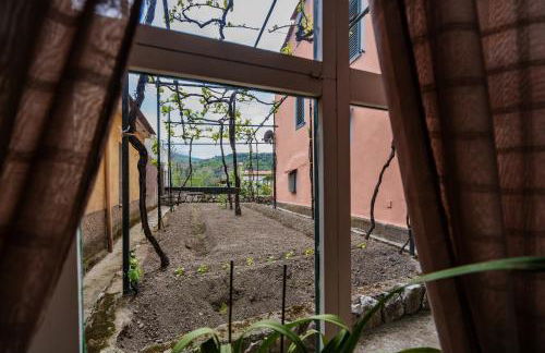 Il Nespolo - Foto 57