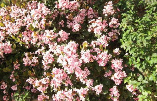 Nymfes Villas - Foto 18