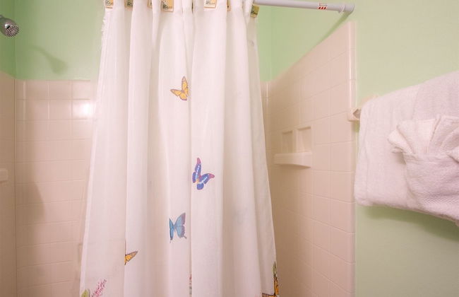 Private Screened Splash Pool Overlooking Tranquil Lake Right Beside Disney World by Florida Dream Homes - Foto 17