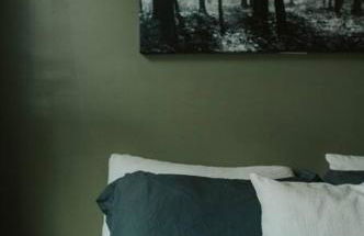 Mountainscape: Peaceful & Skiing - Photo 3