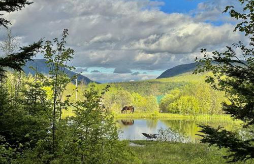 Cozy Off-Grid Cabin with Breathtaking Serene Views for a Peaceful Getaway Surrounded by Nature in Barton, Vermont - Foto 11