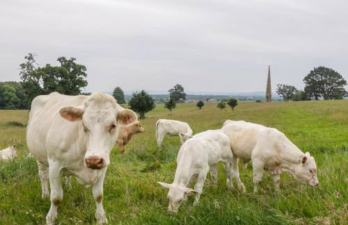 The Milking Barn - Foto 25