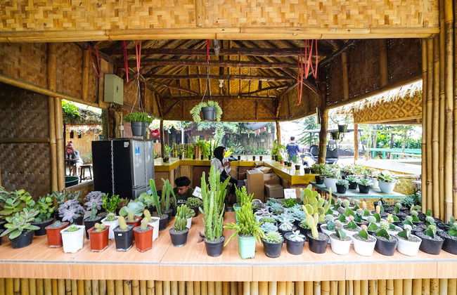 OYO Homes 91006 Eco Tourism Desa Cibodas Areng 5 Syariah - Photo 33