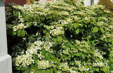 Model Farm by Group Retreats - Foto 44