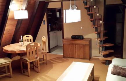 Freyunger Nurdachhaus - Foto 1