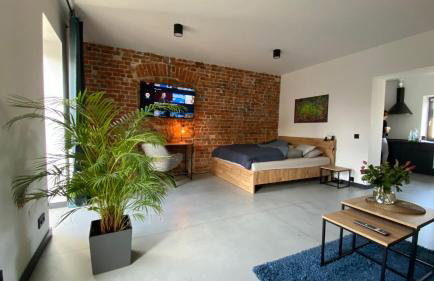 Apartamenty Gliwice Staromiejska 65 - Foto 23