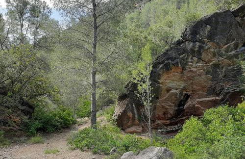 La Caseta de Mollet - Photo 37