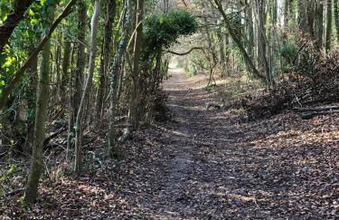 Rolling Mill, Wolds Way Holiday Cottages, 2 Bed, 1st floor - Foto 8