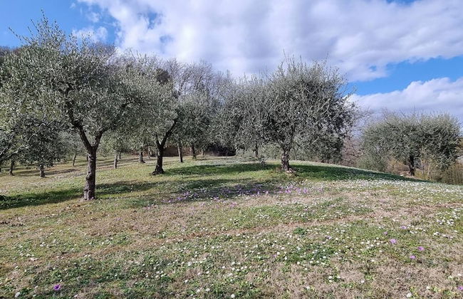 Casolare Di Capilato - Foto 20