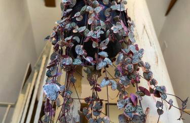 NEW 2023 Villa Tree of Life - Photo 75