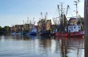 Fiete s Huus - Foto 32