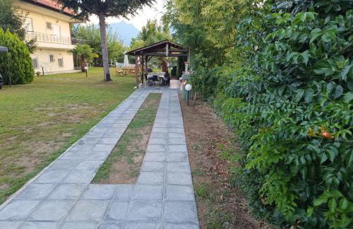 SPIROS APARTMENTS - Foto 29