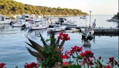 Milijana Apartments Rab - Photo 2