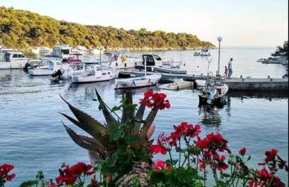 Milijana Apartments Rab - Photo 2