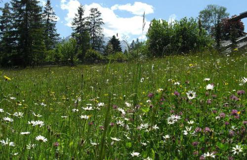 Almenhof Neuner - Foto 13