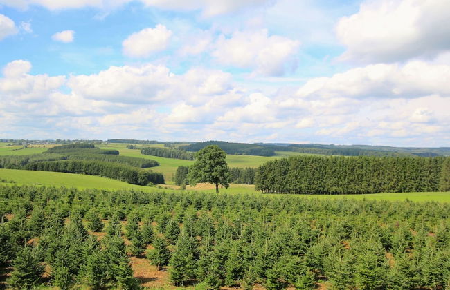 Spacious Country Villa - Foto 19