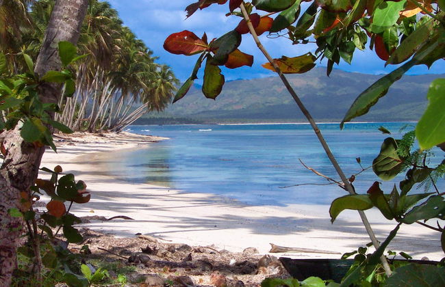 Las Mariposas - Foto 57