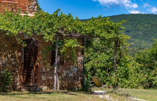 La Cerreta - Terme di Sassetta - Foto 78