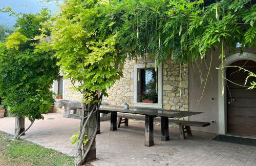 Large villa between Verona and Venice - Photo 3