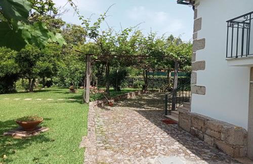 Casa das Guimarães - Foto 12