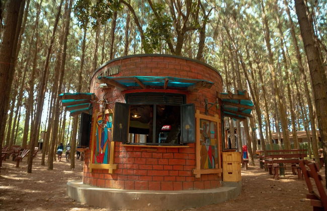 Nyungu Yamawe Forest Park - Foto 24