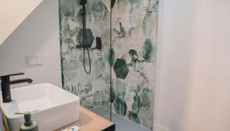 L'Amazone - Jungle Room avec Jacuzzi - Foto 3, Shower