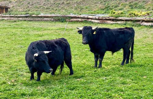 Agriturismo Villa Paradiso Esotico - Photo 42