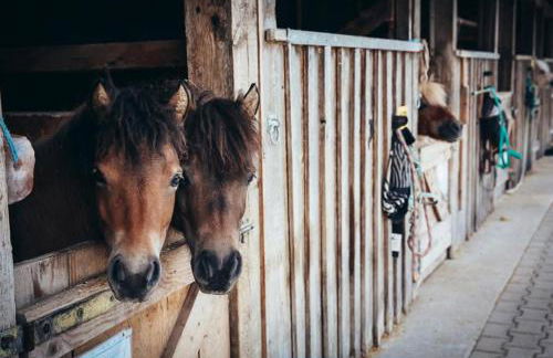 Bachmair Weissach See-Apartments - Foto 30