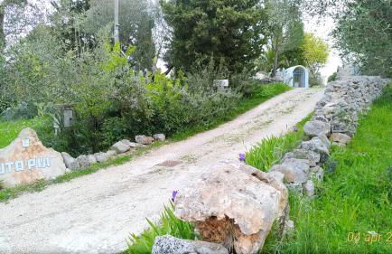 Trulli Eutopia - Foto 15